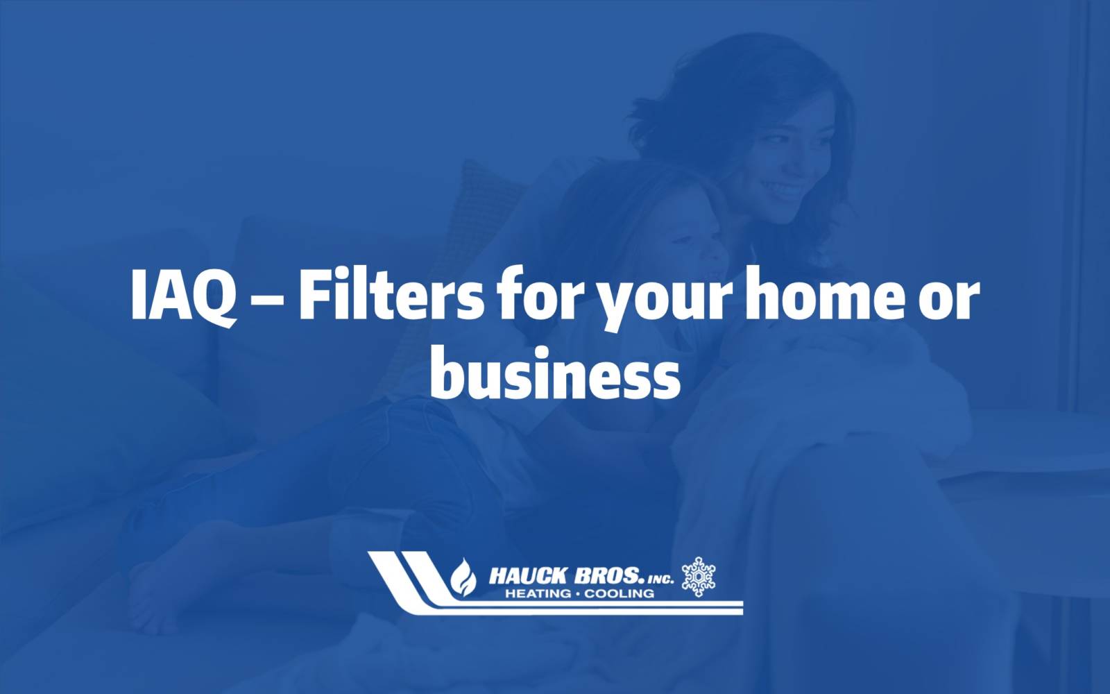 filters for your home or business